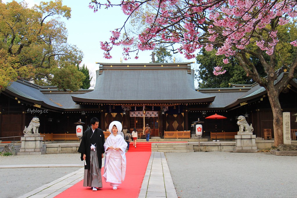 日本兵庫|姬路城,日本第一大名城,雪白外觀又稱白鷺城(含交通方式、美食推薦、拍照地點) @飛天璇的口袋