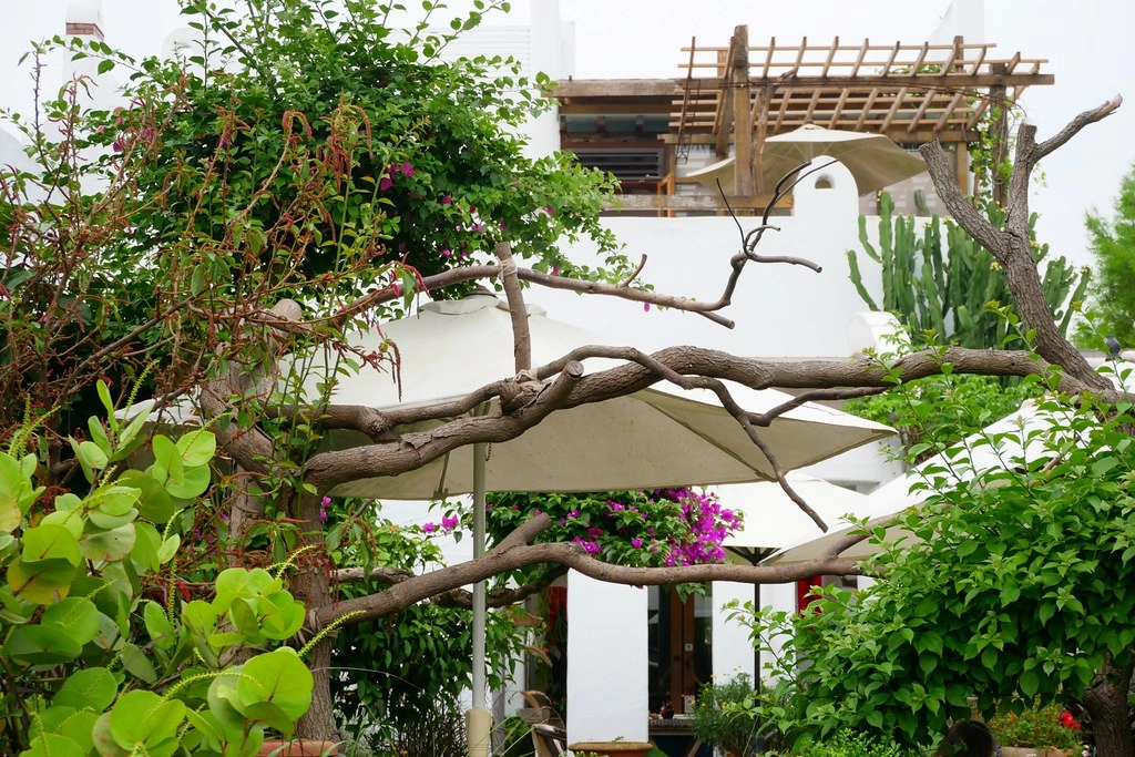 田尾綠海咖啡館|唯美純白希臘建築景觀餐廳,佈滿花花草草的綠色庭院 @飛天璇的口袋