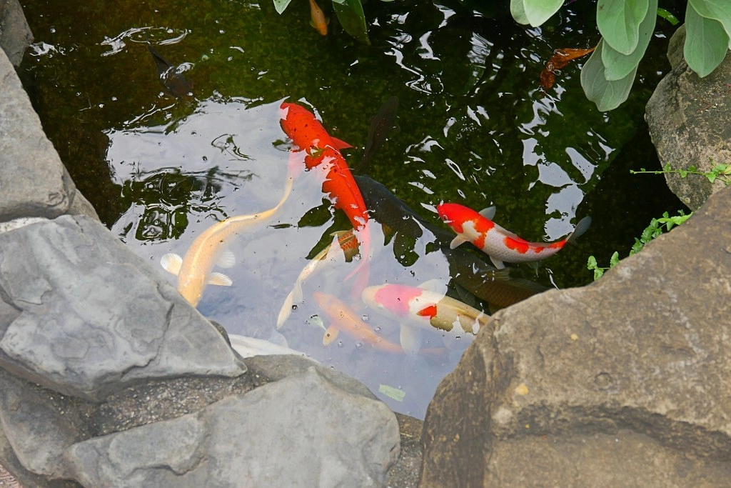 田尾綠海咖啡館|唯美純白希臘建築景觀餐廳,佈滿花花草草的綠色庭院 @飛天璇的口袋