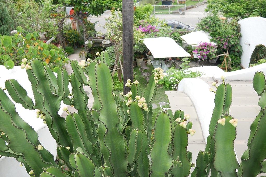 田尾綠海咖啡館|唯美純白希臘建築景觀餐廳,佈滿花花草草的綠色庭院 @飛天璇的口袋