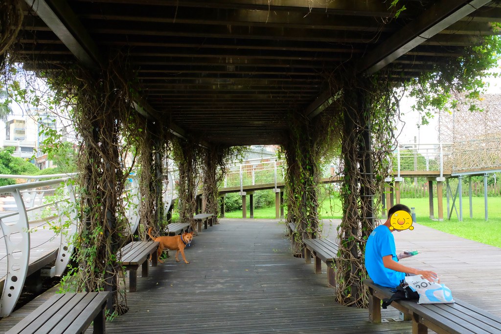 嘉義東區|森林之歌.IG網美打卡嘉義熱門景點,漂亮又浪漫的裝置藝術 @飛天璇的口袋