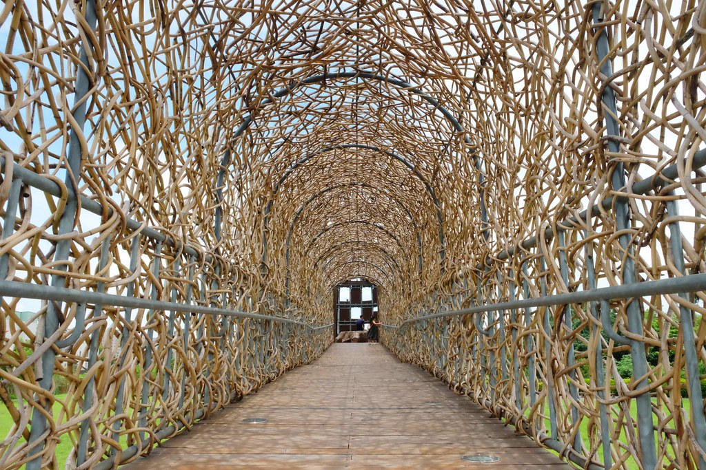 嘉義東區|森林之歌.IG網美打卡嘉義熱門景點,漂亮又浪漫的裝置藝術 @飛天璇的口袋