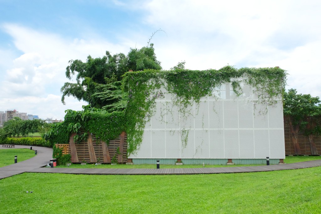 嘉義東區|森林之歌.IG網美打卡嘉義熱門景點,漂亮又浪漫的裝置藝術 @飛天璇的口袋