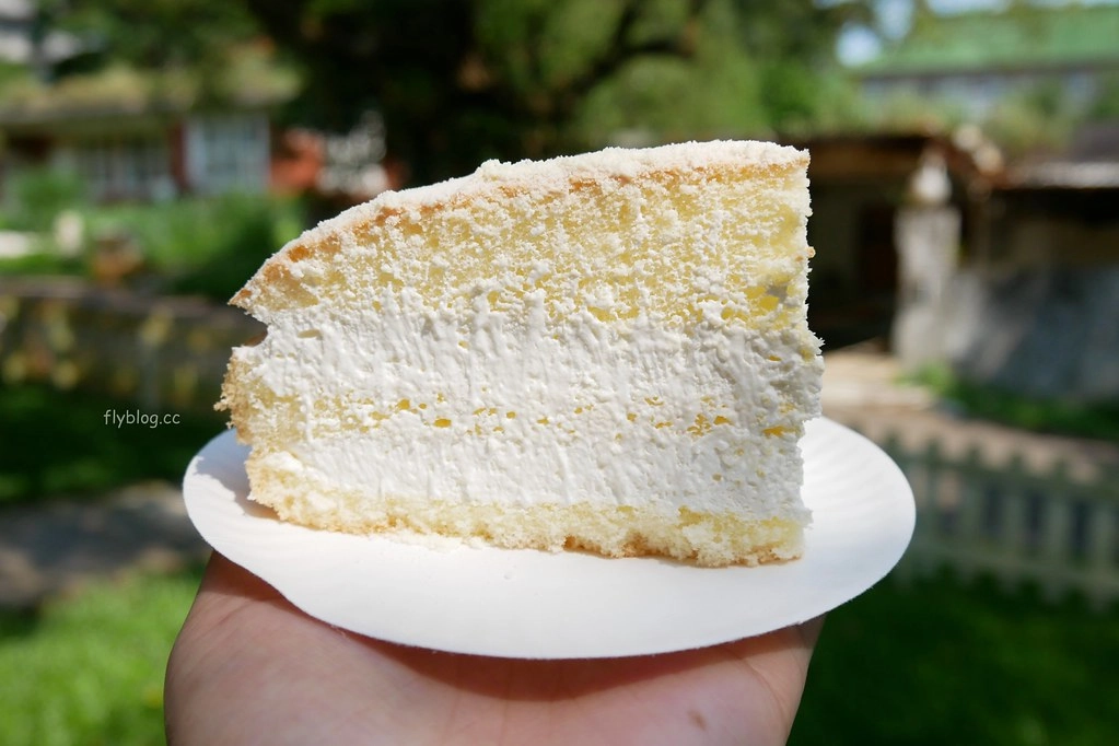 桃園美食|佳樂蛋糕.桃園超好吃佳樂波士頓派,簡單卻雋永的桃園伴手禮 @飛天璇的口袋