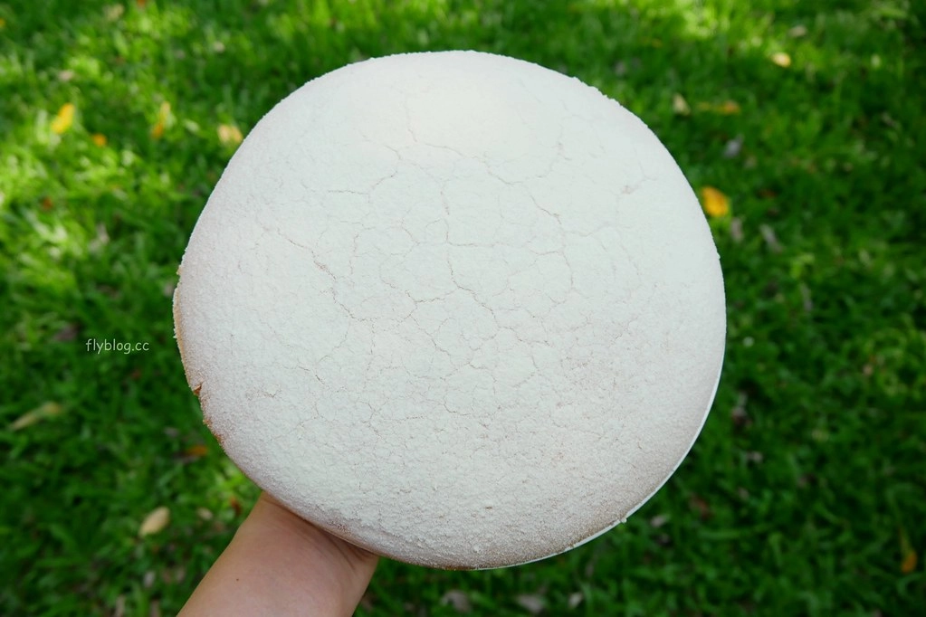 桃園美食|佳樂蛋糕.桃園超好吃佳樂波士頓派,簡單卻雋永的桃園伴手禮 @飛天璇的口袋