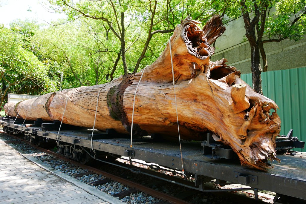 嘉義製材所園區┃嘉義景點:網紅IG拍照打卡新景點,藍天白雲大草原好悠閒,隱身城市中的小清新 @飛天璇的口袋
