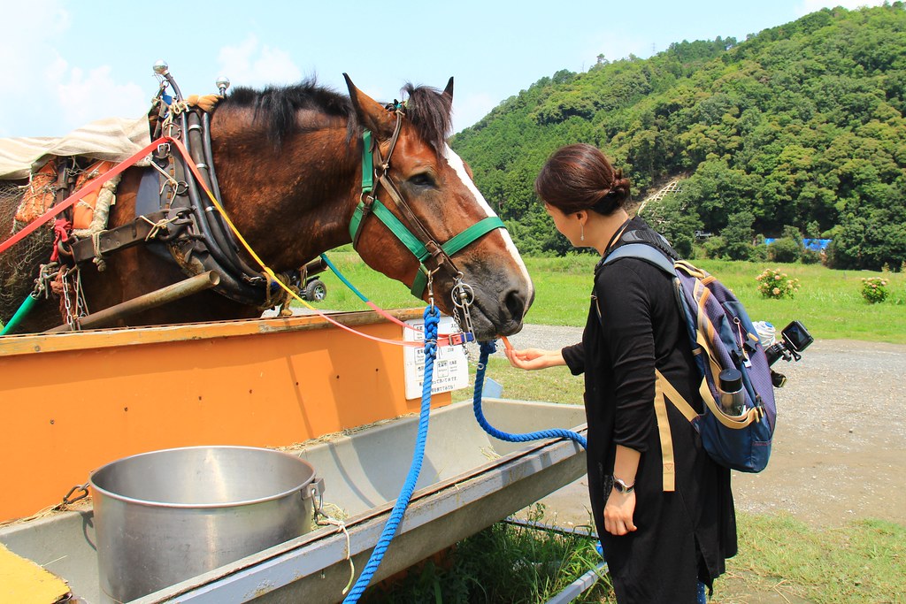 日本京都|嵐山一日遊.搭乘嵐山小火車,京馬車 – 嵐山小火車 – 車折神社一日遊路線 @飛天璇的口袋