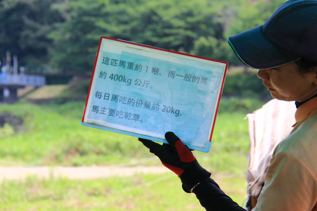 日本京都|嵐山一日遊.搭乘嵐山小火車,京馬車 – 嵐山小火車 – 車折神社一日遊路線 @飛天璇的口袋