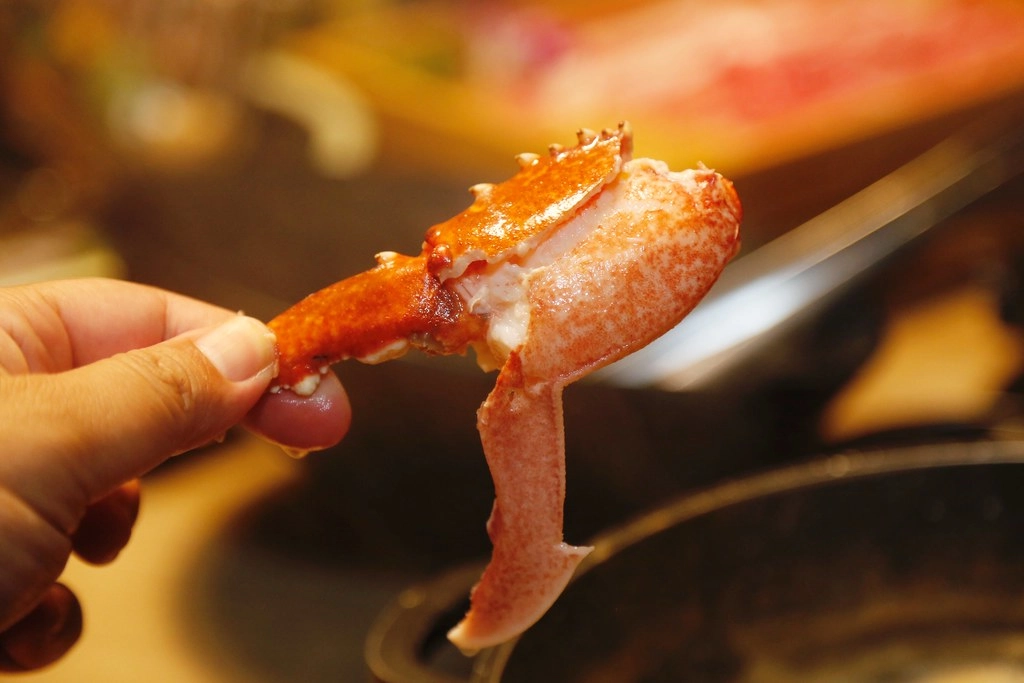 台中南屯|灰鴿.台中鍋烤節第二名火鍋,壽星禮幾歲生日送幾隻蝦 @飛天璇的口袋