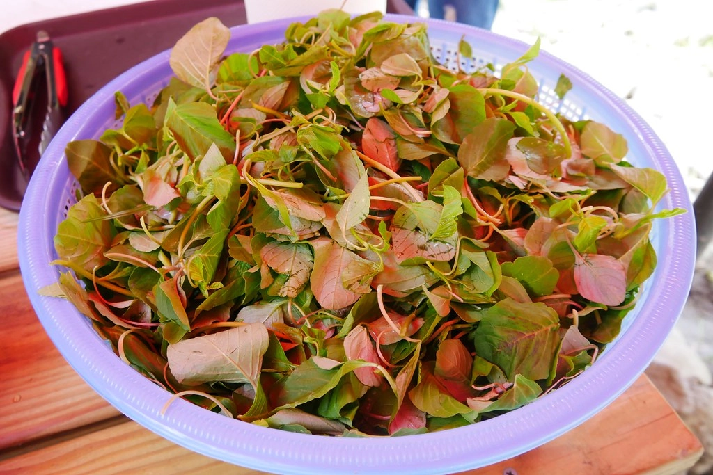 花蓮壽豐|溪畔餐桌|秘境豪華BBQ野炊體驗,專人野溪搭帳篷帶溯溪,花蓮超浮誇溪邊下午茶 @飛天璇的口袋