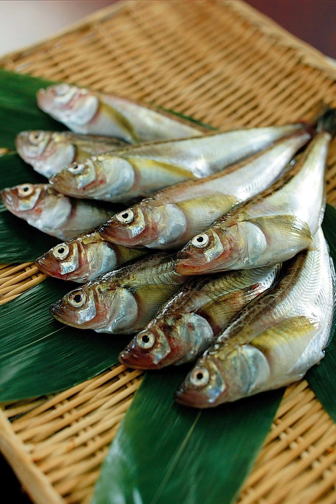 日本秋田|日本秋田吃什麼?在地人推薦秋田十大必吃美食整理 @飛天璇的口袋