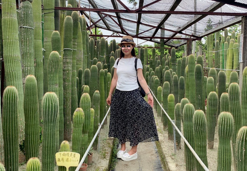 田尾農村仙人掌園|巨型仙人掌IG打卡熱門景點,50年大鳳龍營造可愛的沙漠風情 @飛天璇的口袋