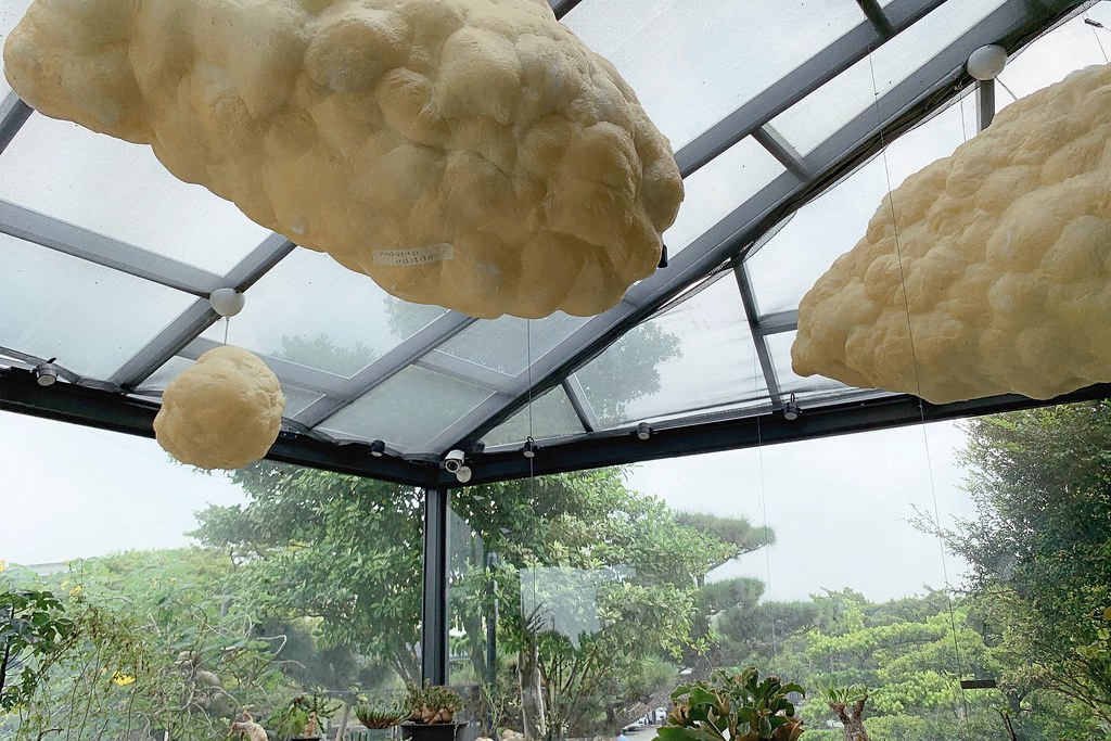 酉 Succulent & Artwork┃彰化田尾:超美塊根植物專賣店,IG網美熱門打卡景點 @飛天璇的口袋