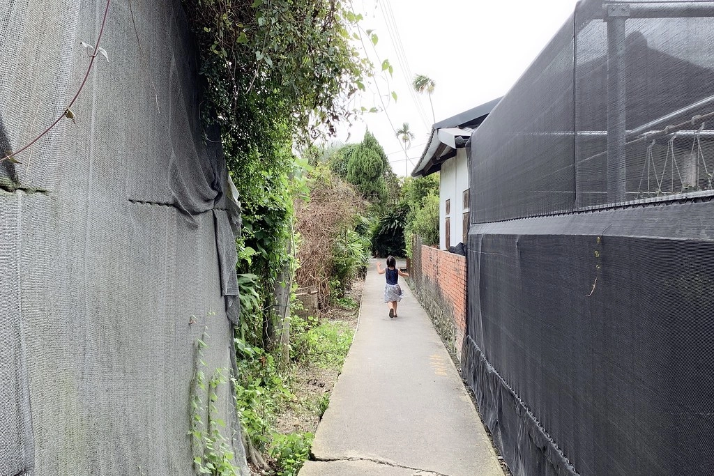 田尾農村仙人掌園|巨型仙人掌IG打卡熱門景點,50年大鳳龍營造可愛的沙漠風情 @飛天璇的口袋