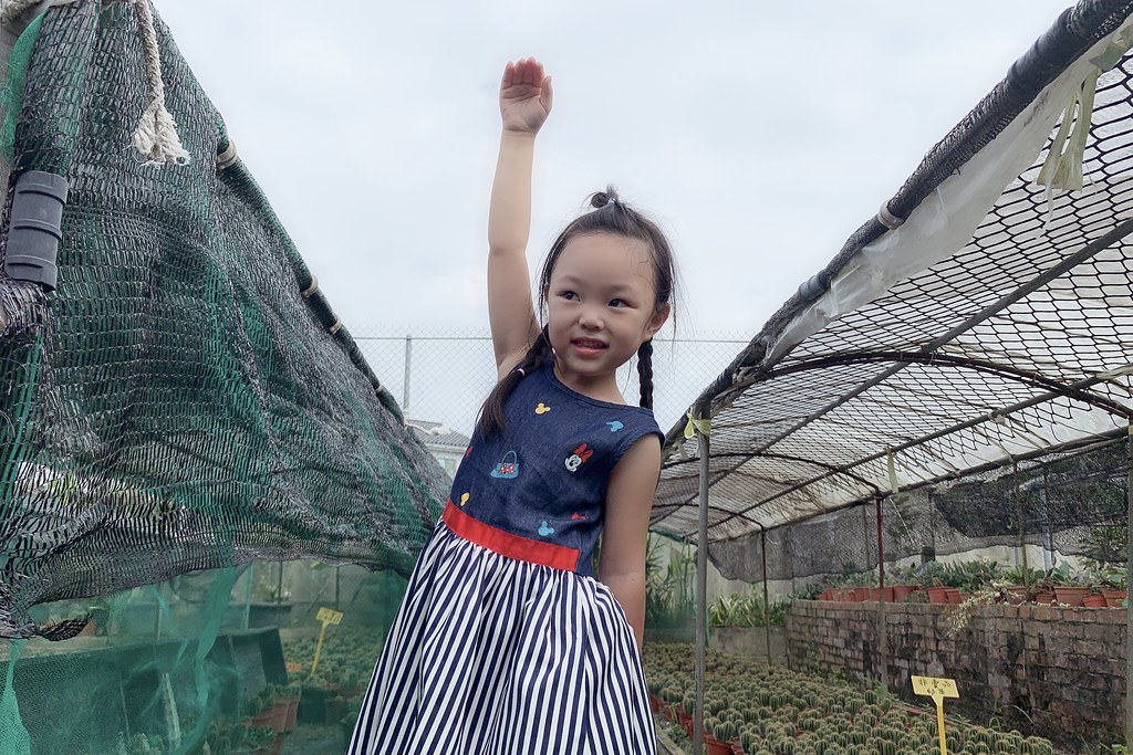 田尾農村仙人掌園|巨型仙人掌IG打卡熱門景點,50年大鳳龍營造可愛的沙漠風情 @飛天璇的口袋