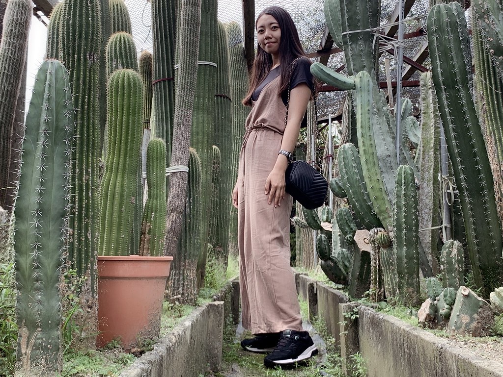 田尾農村仙人掌園|巨型仙人掌IG打卡熱門景點,50年大鳳龍營造可愛的沙漠風情 @飛天璇的口袋