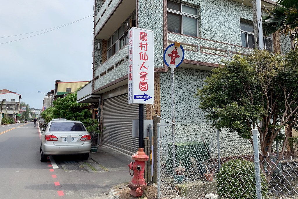 田尾農村仙人掌園|巨型仙人掌IG打卡熱門景點,50年大鳳龍營造可愛的沙漠風情 @飛天璇的口袋