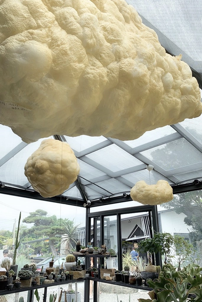 酉 Succulent & Artwork┃彰化田尾:超美塊根植物專賣店,IG網美熱門打卡景點 @飛天璇的口袋