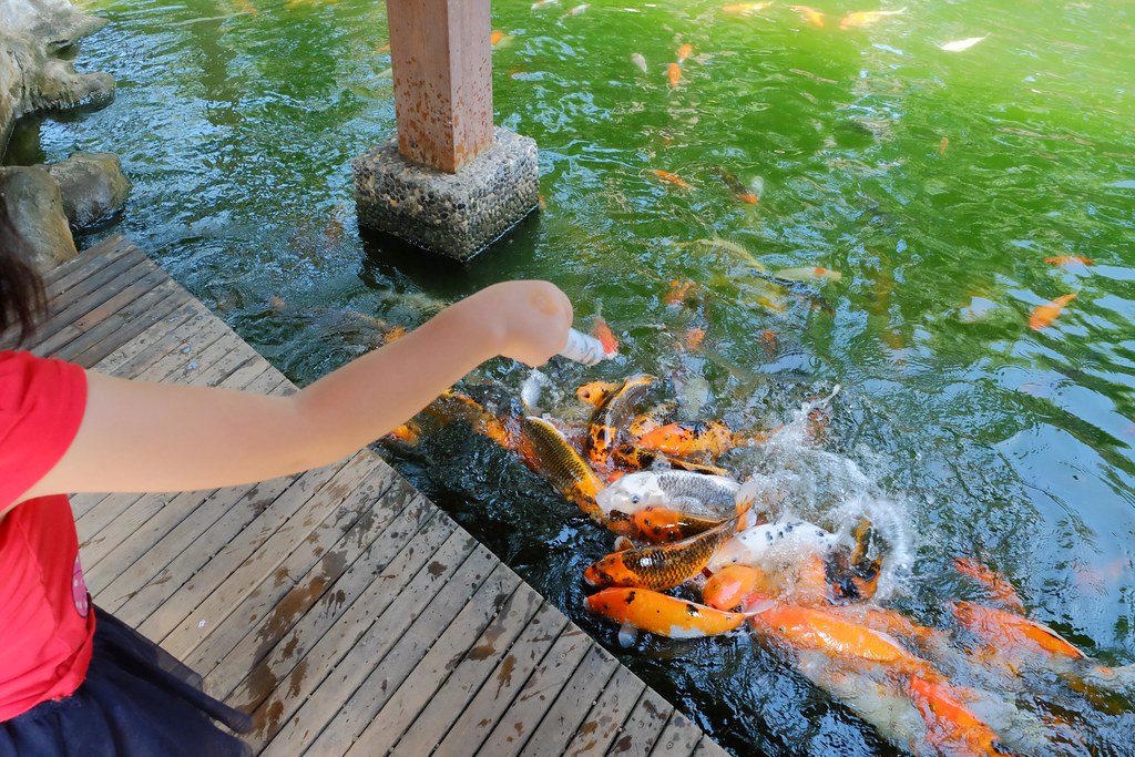 台中后里|星月大地.吃美食泡溫泉,露營烤肉賞夜景 @飛天璇的口袋