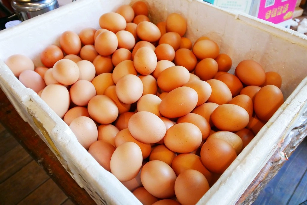 苗栗一日遊|苗栗借問站|苑裡秒殺炸雞 – 垂坤伴手禮 – 東里家風 – 三義木雕博物館 – 彭城堂 – 山板樵休閒農場 @飛天璇的口袋