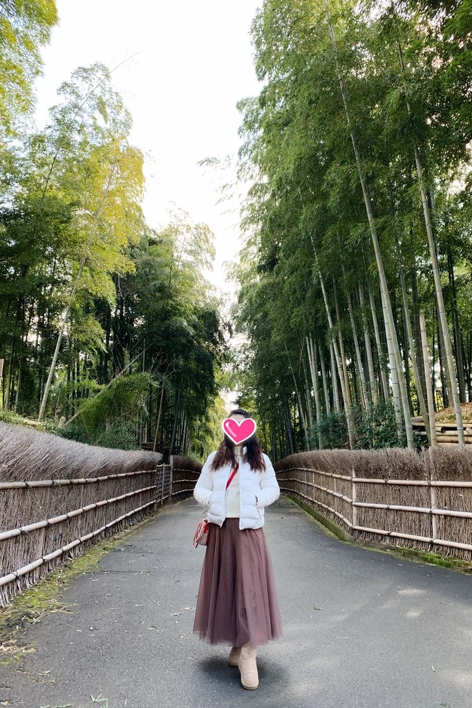 日本京都|竹之徑.竹林公園|日本500條最美的步道,不用到嵐山人擠人,幽靜又療癒的京都旅遊景點 @飛天璇的口袋