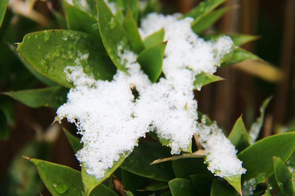 日本京都|竹之徑.竹林公園|日本500條最美的步道,不用到嵐山人擠人,幽靜又療癒的京都旅遊景點 @飛天璇的口袋