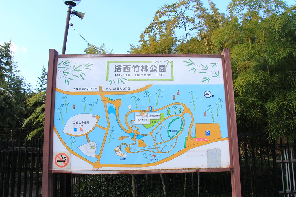 日本京都|竹之徑.竹林公園|日本500條最美的步道,不用到嵐山人擠人,幽靜又療癒的京都旅遊景點 @飛天璇的口袋