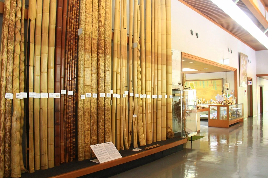 日本京都|竹之徑.竹林公園|日本500條最美的步道,不用到嵐山人擠人,幽靜又療癒的京都旅遊景點 @飛天璇的口袋