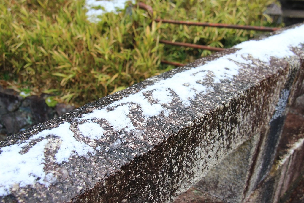 日本京都|竹之徑.竹林公園|日本500條最美的步道,不用到嵐山人擠人,幽靜又療癒的京都旅遊景點 @飛天璇的口袋