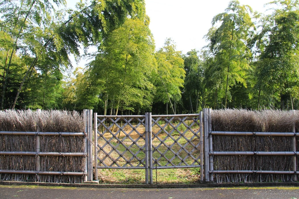 日本京都|竹之徑.竹林公園|日本500條最美的步道,不用到嵐山人擠人,幽靜又療癒的京都旅遊景點 @飛天璇的口袋