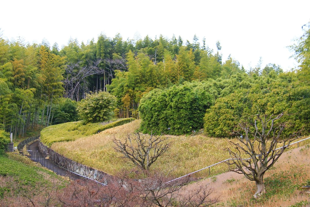 日本京都|竹之徑.竹林公園|日本500條最美的步道,不用到嵐山人擠人,幽靜又療癒的京都旅遊景點 @飛天璇的口袋