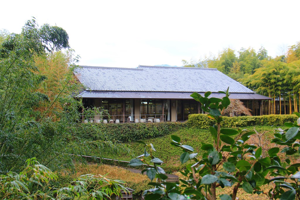 日本京都|竹之徑.竹林公園|日本500條最美的步道,不用到嵐山人擠人,幽靜又療癒的京都旅遊景點 @飛天璇的口袋