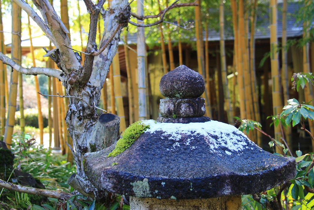 日本京都|竹之徑.竹林公園|日本500條最美的步道,不用到嵐山人擠人,幽靜又療癒的京都旅遊景點 @飛天璇的口袋