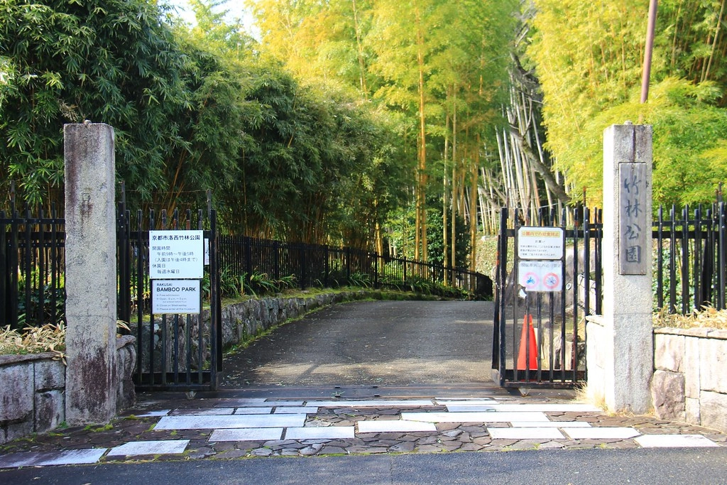 日本京都|竹之徑.竹林公園|日本500條最美的步道,不用到嵐山人擠人,幽靜又療癒的京都旅遊景點 @飛天璇的口袋