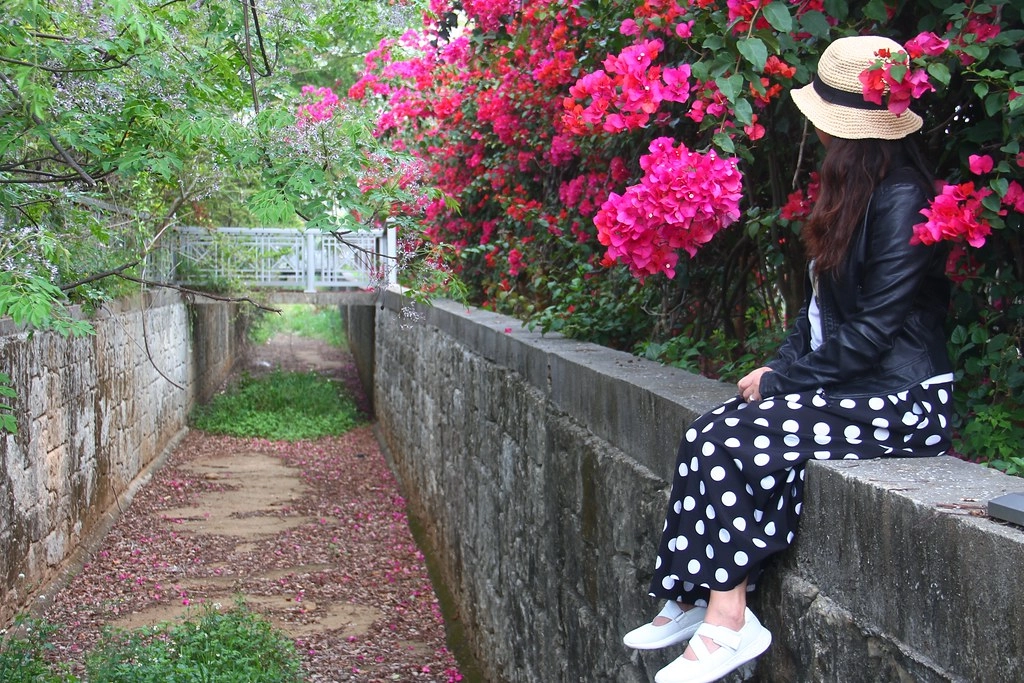 嘉義2天1夜輕旅行:穿著Hannfort鞋去旅行,春暖花開賞花踏青好時節 @飛天璇的口袋