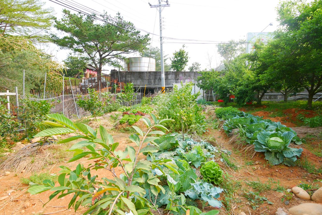 山水啡|擁有大片綠地和田園風情,漂亮落地窗建築,新社新開幕景觀餐廳 @飛天璇的口袋