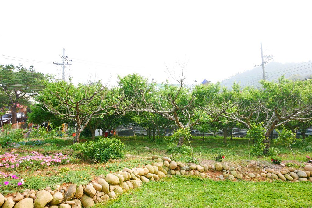 山水啡|擁有大片綠地和田園風情,漂亮落地窗建築,新社新開幕景觀餐廳 @飛天璇的口袋