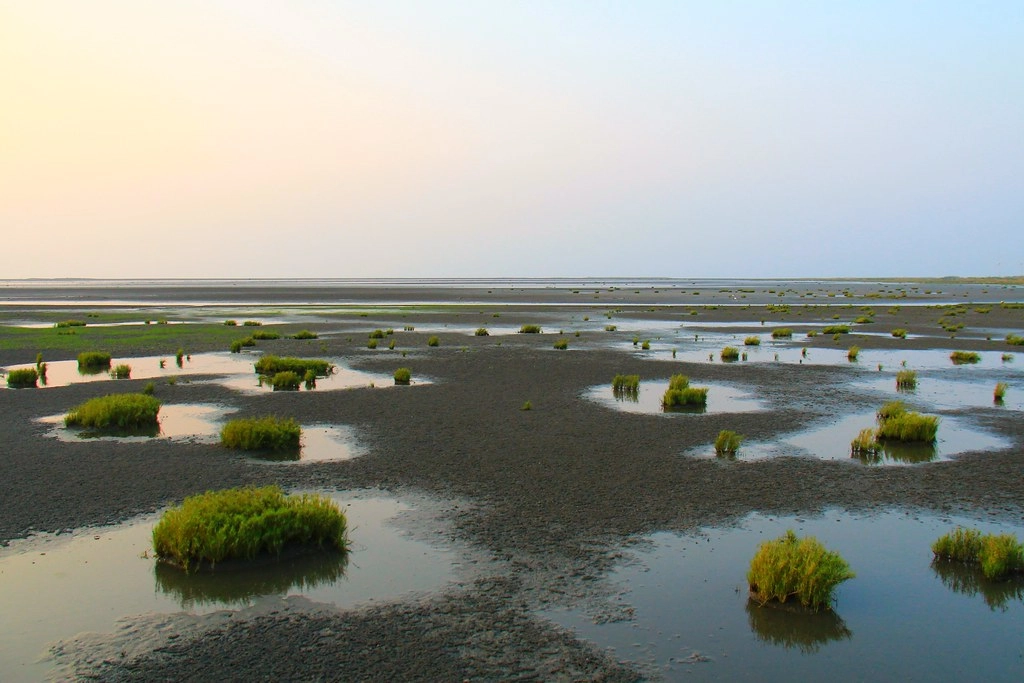 台中清水|高美溼地,日本人一生必遊一次的景點,全球六大絕美天空之鏡 @飛天璇的口袋