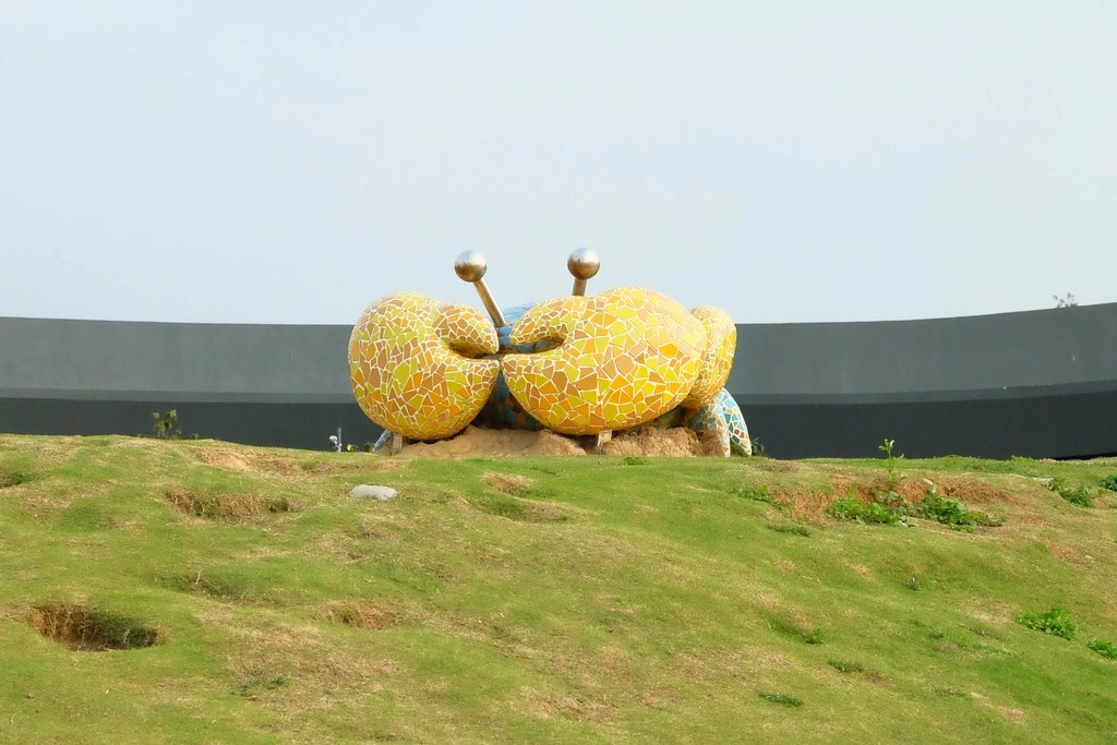 台中清水|高美溼地,日本人一生必遊一次的景點,全球六大絕美天空之鏡 @飛天璇的口袋