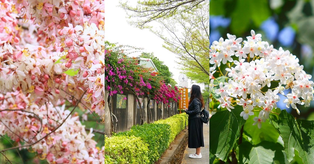 嘉義2天1夜輕旅行:穿著Hannfort鞋去旅行,春暖花開賞花踏青好時節 @飛天璇的口袋