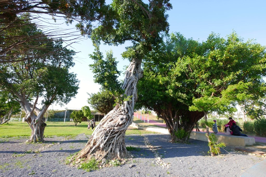 台中西屯|中央公園.台中的新綠洲公園,12大感官體驗區,必拍景點推薦 @飛天璇的口袋