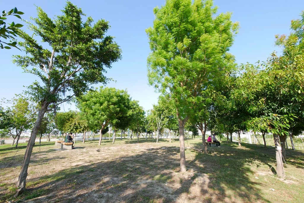 台中西屯|中央公園.台中的新綠洲公園,12大感官體驗區,必拍景點推薦 @飛天璇的口袋