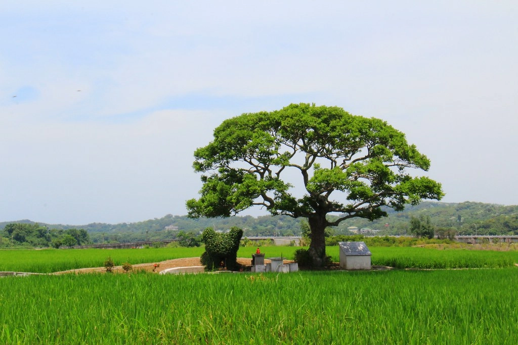 苗栗旅遊|2023苗栗旅遊景點|苗栗一日遊行程推薦,景觀餐廳、自然美景、四季花卉、親子旅遊 @飛天璇的口袋