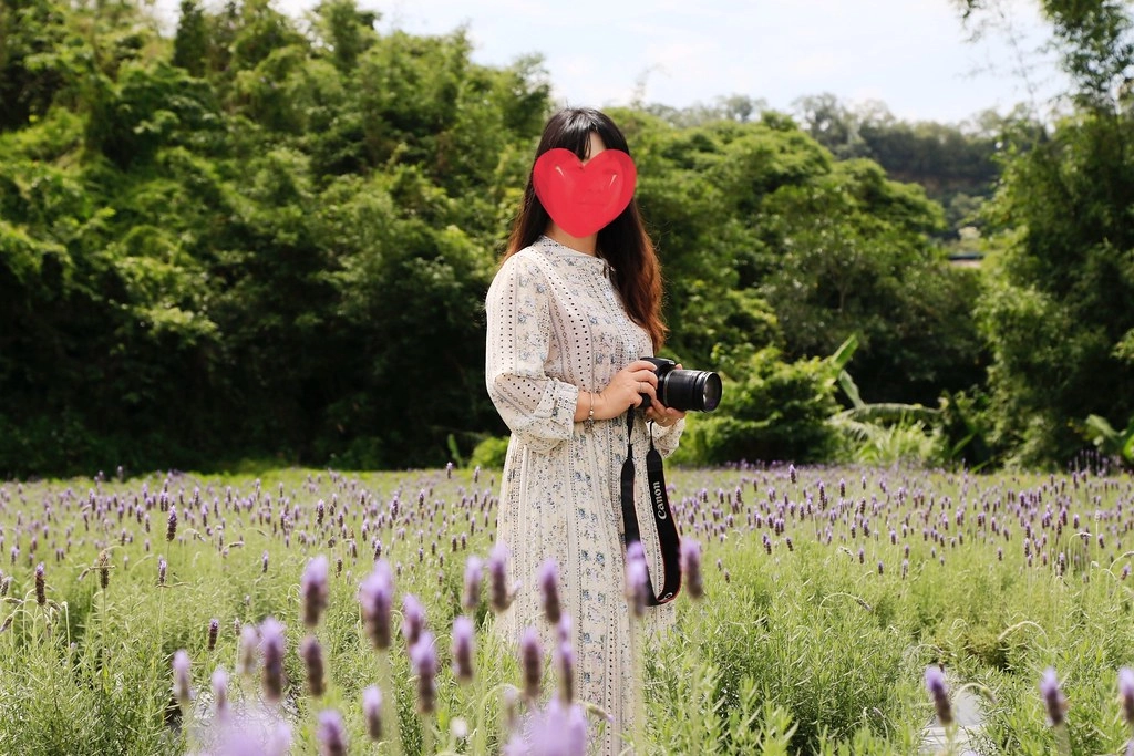 苗栗旅遊|2023苗栗旅遊景點|苗栗一日遊行程推薦,景觀餐廳、自然美景、四季花卉、親子旅遊 @飛天璇的口袋