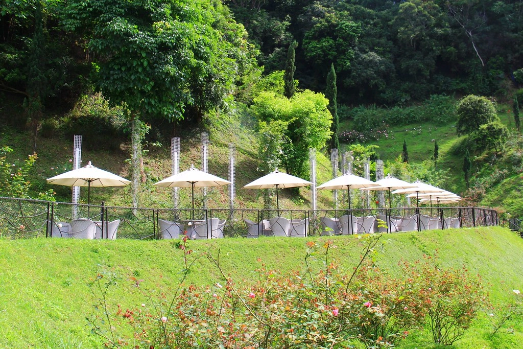 苗栗旅遊|2023苗栗旅遊景點|苗栗一日遊行程推薦,景觀餐廳、自然美景、四季花卉、親子旅遊 @飛天璇的口袋