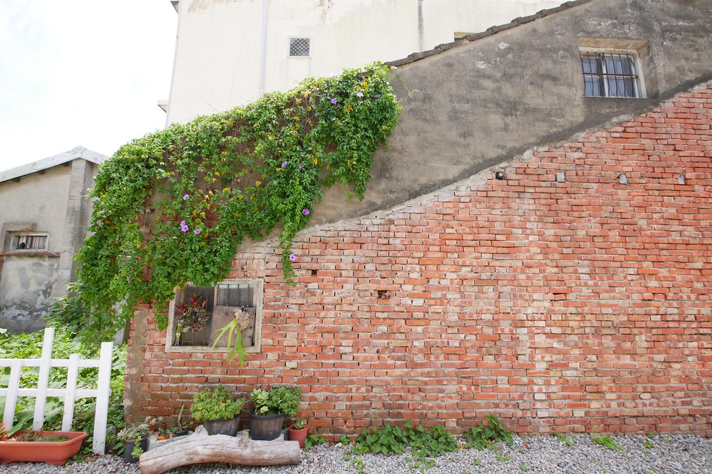 苗栗銅鑼|小樹的家咖啡民宿.漂亮唯美純白建築,每週只有營業兩天 @飛天璇的口袋