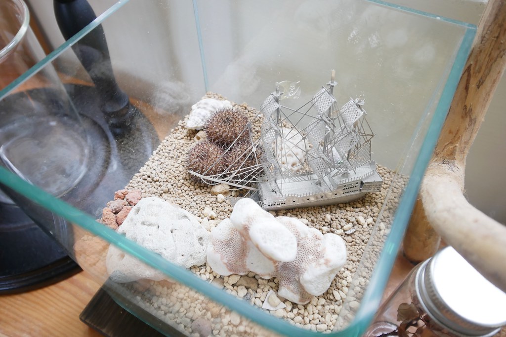 苗栗銅鑼|小樹的家咖啡民宿.漂亮唯美純白建築,每週只有營業兩天 @飛天璇的口袋