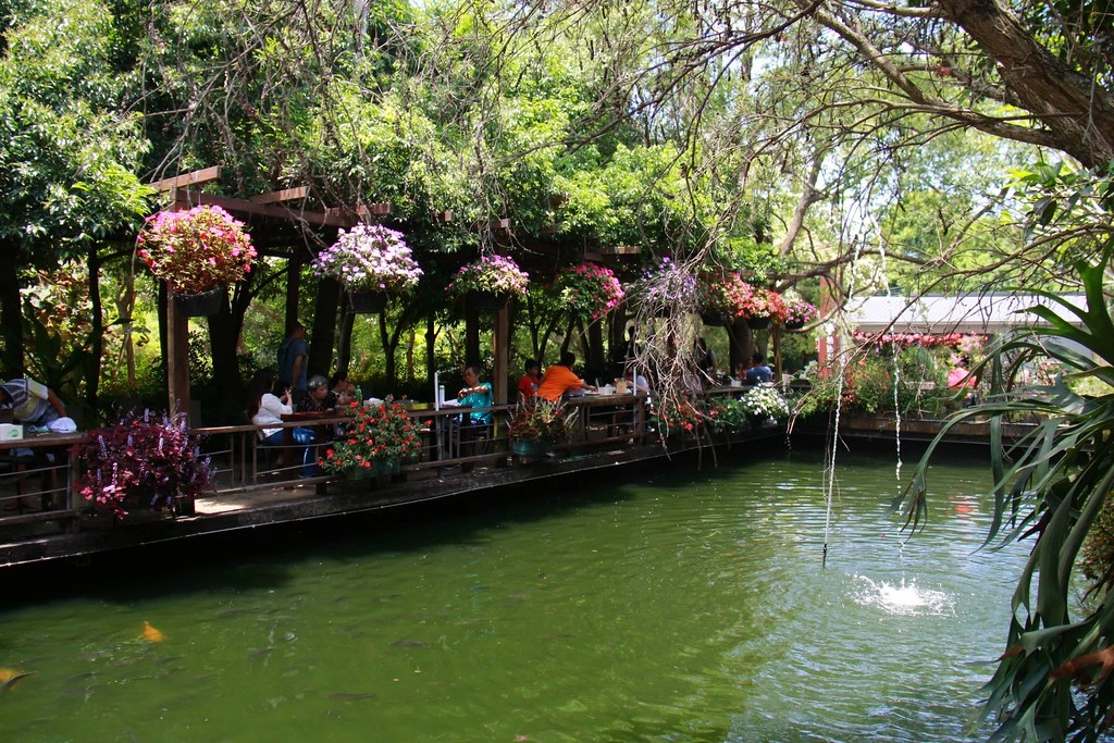 苗栗卓蘭|花露農場,浪漫繡球花盛開,卓蘭景觀下午茶餐廳,苗栗一日遊景點推薦 @飛天璇的口袋