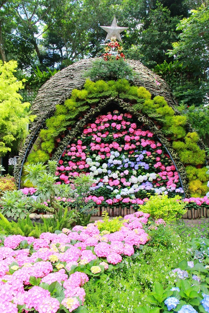 苗栗旅遊|2023苗栗旅遊景點|苗栗一日遊行程推薦,景觀餐廳、自然美景、四季花卉、親子旅遊 @飛天璇的口袋