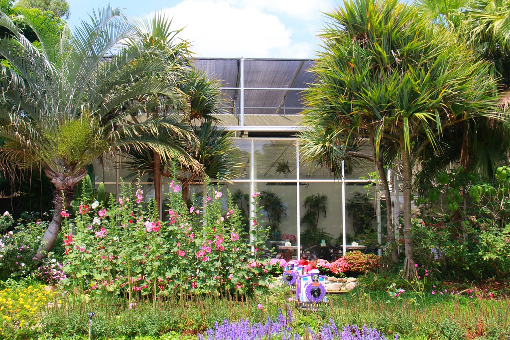 苗栗卓蘭|花露農場,浪漫繡球花盛開,卓蘭景觀下午茶餐廳,苗栗一日遊景點推薦 @飛天璇的口袋